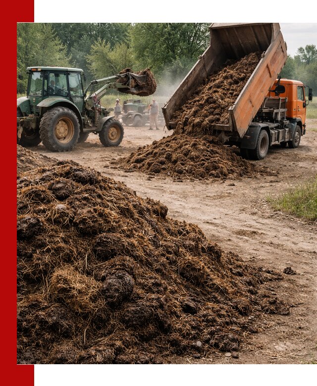 Доставка навоза самосвалами в Геленджике для сельхозпотребностей